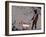 Choose the dog-Banksy-Framed Giclee Print