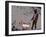 Choose the dog-Banksy-Framed Premium Giclee Print