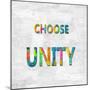 Choose Unity in Color-Jamie MacDowell-Mounted Art Print