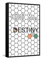 Choose Your Destiny-null-Framed Stretched Canvas