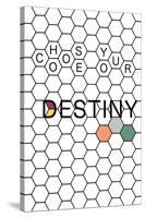 Choose Your Destiny-null-Stretched Canvas