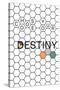 Choose Your Destiny-null-Stretched Canvas