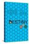 Choose Your Destiny-null-Stretched Canvas