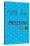 Choose Your Destiny-null-Stretched Canvas