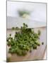 Chopping Chives-null-Mounted Photographic Print