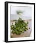 Chopping Chives-null-Framed Photographic Print