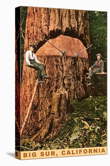 Chopping Down a Redwood, Big Sur, California-null-Stretched Canvas