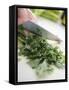 Chopping Parsley-null-Framed Stretched Canvas