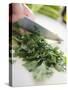 Chopping Parsley-null-Stretched Canvas