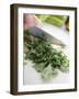 Chopping Parsley-null-Framed Photographic Print