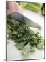 Chopping Parsley-null-Mounted Photographic Print