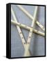 Chopsticks with Chinese Characters-Jean Cazals-Framed Stretched Canvas