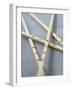 Chopsticks with Chinese Characters-Jean Cazals-Framed Premium Photographic Print