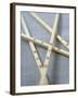 Chopsticks with Chinese Characters-Jean Cazals-Framed Photographic Print