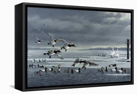 Choptank Gathering-Wilhelm Goebel-Framed Stretched Canvas