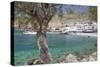 Chora Sfakion, South Crete, Crete, Greek Islands, Greece, Europe-Markus Lange-Stretched Canvas