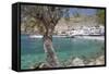 Chora Sfakion, South Crete, Crete, Greek Islands, Greece, Europe-Markus Lange-Framed Stretched Canvas