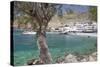 Chora Sfakion, South Crete, Crete, Greek Islands, Greece, Europe-Markus Lange-Stretched Canvas