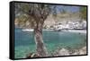 Chora Sfakion, South Crete, Crete, Greek Islands, Greece, Europe-Markus Lange-Framed Stretched Canvas