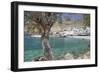 Chora Sfakion, South Crete, Crete, Greek Islands, Greece, Europe-Markus Lange-Framed Premium Photographic Print