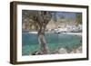 Chora Sfakion, South Crete, Crete, Greek Islands, Greece, Europe-Markus Lange-Framed Photographic Print