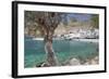 Chora Sfakion, South Crete, Crete, Greek Islands, Greece, Europe-Markus Lange-Framed Photographic Print