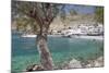 Chora Sfakion, South Crete, Crete, Greek Islands, Greece, Europe-Markus Lange-Mounted Photographic Print