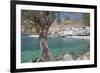 Chora Sfakion, South Crete, Crete, Greek Islands, Greece, Europe-Markus Lange-Framed Photographic Print