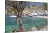 Chora Sfakion, South Crete, Crete, Greek Islands, Greece, Europe-Markus Lange-Mounted Photographic Print