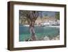 Chora Sfakion, South Crete, Crete, Greek Islands, Greece, Europe-Markus Lange-Framed Photographic Print