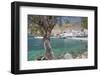 Chora Sfakion, South Crete, Crete, Greek Islands, Greece, Europe-Markus Lange-Framed Photographic Print