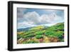 Chorna Hora Mountain Range. Carpathian Mountains. Ukraine-goinyk-Framed Photographic Print