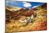 Chorna Hora Mountain Range. Carpathian Mountains. Ukraine-goinyk-Mounted Photographic Print