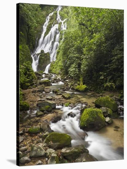 Chorro El Macho Falls, Anton El Valle, Panama-William Sutton-Stretched Canvas