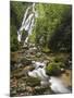 Chorro El Macho Falls, Anton El Valle, Panama-William Sutton-Mounted Premium Photographic Print