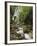 Chorro El Macho Falls, Anton El Valle, Panama-William Sutton-Framed Photographic Print