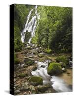 Chorro El Macho Falls, Anton El Valle, Panama-William Sutton-Stretched Canvas