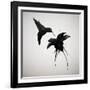 Chorum-Ruben Ireland-Framed Art Print