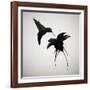 Chorum-Ruben Ireland-Framed Art Print