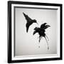 Chorum-Ruben Ireland-Framed Art Print