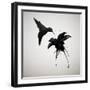 Chorum-Ruben Ireland-Framed Premium Giclee Print