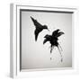 Chorum-Ruben Ireland-Framed Premium Giclee Print