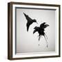 Chorum-Ruben Ireland-Framed Art Print