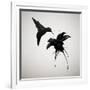 Chorum-Ruben Ireland-Framed Premium Giclee Print