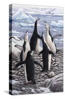 Chorus Chinstrap Penguins-Jeremy Paul-Stretched Canvas