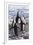 Chorus Chinstrap Penguins-Jeremy Paul-Framed Giclee Print