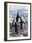 Chorus Chinstrap Penguins-Jeremy Paul-Framed Giclee Print