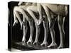 Chorus Girls' Legs-Bettmann-Stretched Canvas