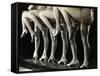 Chorus Girls' Legs-Bettmann-Framed Stretched Canvas