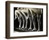 Chorus Girls' Legs-Bettmann-Framed Photographic Print